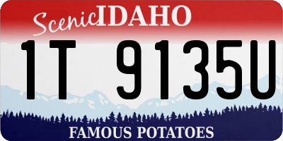 ID license plate 1T9135U