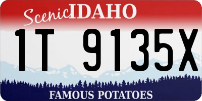 ID license plate 1T9135X