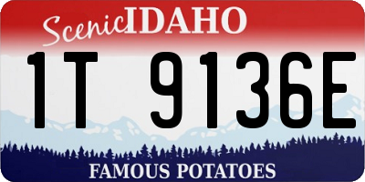 ID license plate 1T9136E