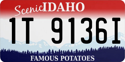 ID license plate 1T9136I