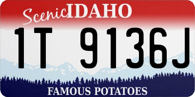 ID license plate 1T9136J