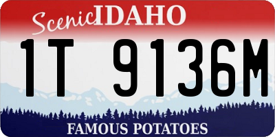 ID license plate 1T9136M