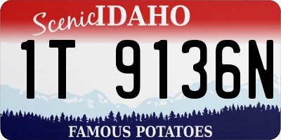 ID license plate 1T9136N