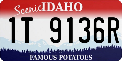 ID license plate 1T9136R
