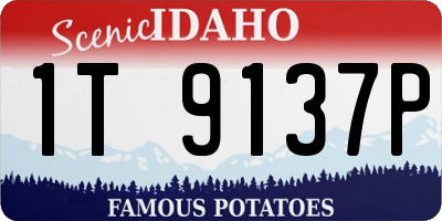 ID license plate 1T9137P