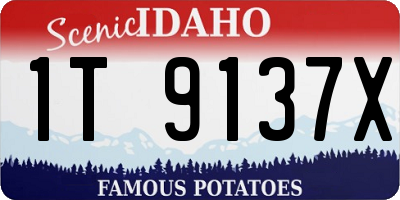 ID license plate 1T9137X