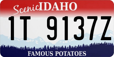 ID license plate 1T9137Z