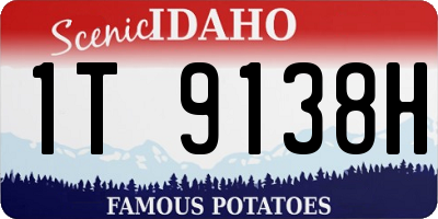 ID license plate 1T9138H