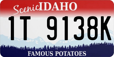 ID license plate 1T9138K