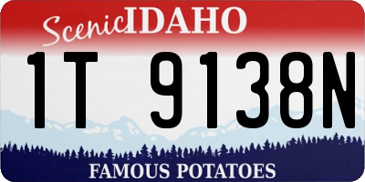 ID license plate 1T9138N