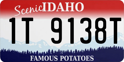 ID license plate 1T9138T