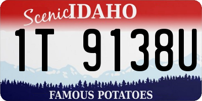ID license plate 1T9138U