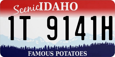 ID license plate 1T9141H