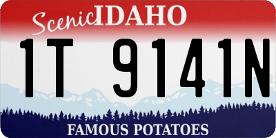 ID license plate 1T9141N
