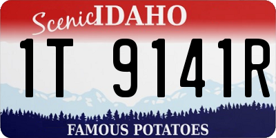 ID license plate 1T9141R