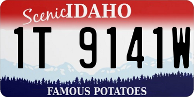 ID license plate 1T9141W