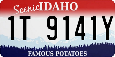 ID license plate 1T9141Y
