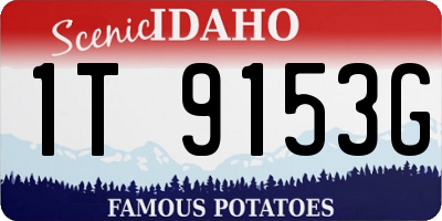 ID license plate 1T9153G