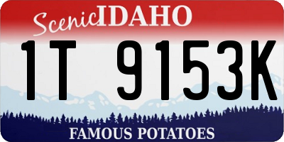 ID license plate 1T9153K