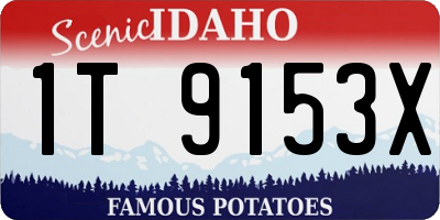 ID license plate 1T9153X