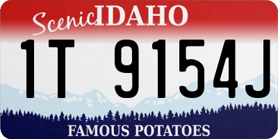ID license plate 1T9154J