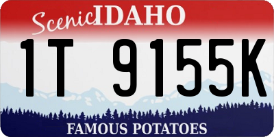 ID license plate 1T9155K