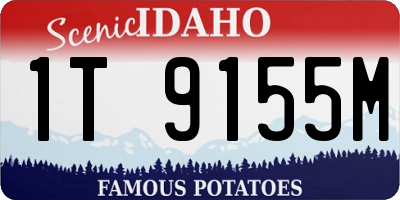 ID license plate 1T9155M