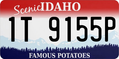 ID license plate 1T9155P