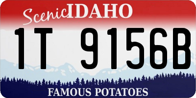 ID license plate 1T9156B