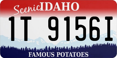 ID license plate 1T9156I