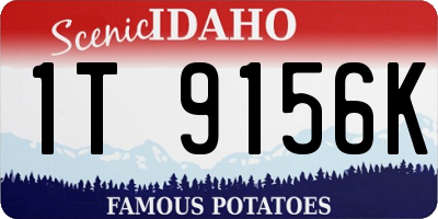 ID license plate 1T9156K