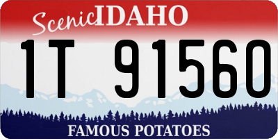 ID license plate 1T9156O