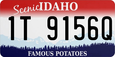 ID license plate 1T9156Q