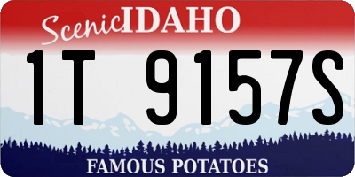 ID license plate 1T9157S