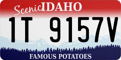 ID license plate 1T9157V