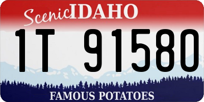 ID license plate 1T9158O
