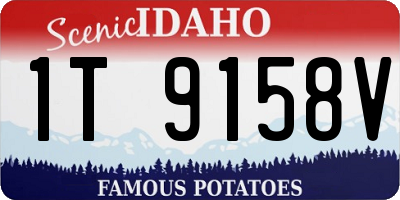 ID license plate 1T9158V
