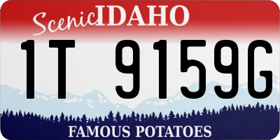 ID license plate 1T9159G