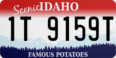 ID license plate 1T9159T