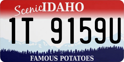 ID license plate 1T9159U