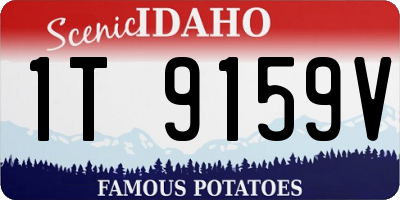 ID license plate 1T9159V