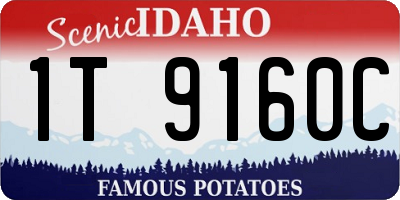ID license plate 1T9160C
