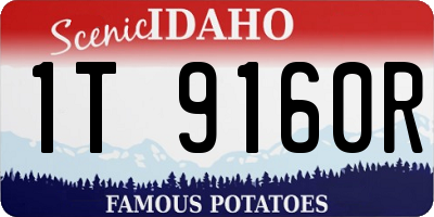 ID license plate 1T9160R