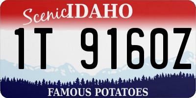 ID license plate 1T9160Z