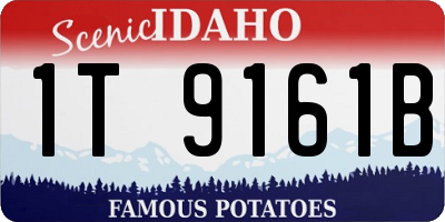 ID license plate 1T9161B