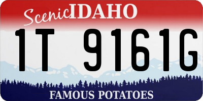 ID license plate 1T9161G