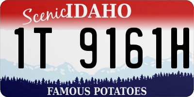 ID license plate 1T9161H