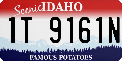ID license plate 1T9161N