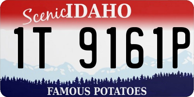 ID license plate 1T9161P
