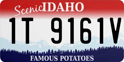 ID license plate 1T9161V